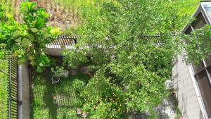 Giardino di Moon Child Field