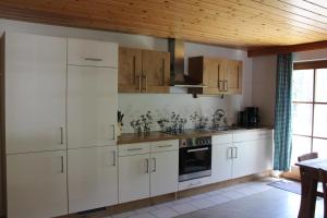 Kuchyň nebo kuchyňský kout v ubytování Ferienwohnung in der Schoß