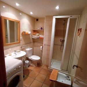 a bathroom with a shower and a toilet and a sink at Can Panxeta in Pallaresos