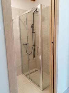 a shower with a glass door in a bathroom at Lolo Apartment in Klenovica