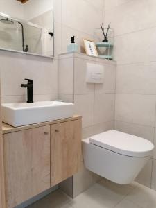 a bathroom with a sink and a toilet and a mirror at Lolo Apartment in Klenovica