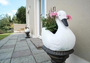 Een tuin van Ardilaun Guesthouse Self Catering