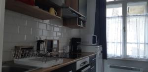 a kitchen with a dish drying rack on the counter at Elisabeth Apartman in Sopron