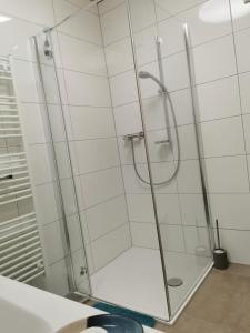 a shower with a glass door in a bathroom at Ferienwohnung auf der Scheibe in Bezau +20 photos