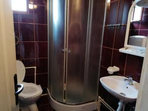 La salle de bains est pourvue d'une douche, de toilettes et d'un lavabo. dans l'établissement Etno Apartmani ''Vlaška kuća'', à Kladovo