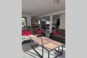 uma sala de estar com sofás e uma mesa de centro em LA LOGIA DU PEUPLIER em Rilly-la-Montagne
