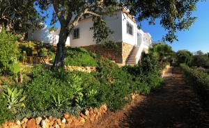 una casa blanca con un árbol y un camino en Casa Pura Vida - fantastic sea view en Pêra