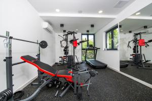 Fitness centrum a/nebo fitness zařízení v ubytování Hotel Seventh
