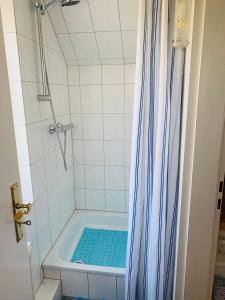 y baño con ducha azul. en Haus Boy Jensen Wohnung Dünenblick, en Wenningstedt