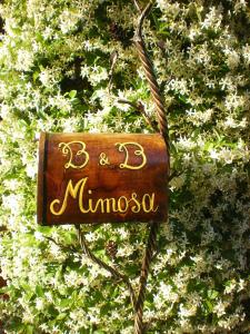 una señal que dice mimosa delante de un arbusto en Bed and Breakfast Mimosa, en Cascina