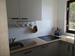 Kuchyň nebo kuchyňský kout v ubytování Apartments Bassi