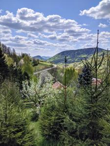 vistas desde una colina con árboles y una carretera en The Magical Paths, en Kremnica