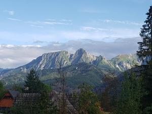 a view of a mountain range with trees and a house at TYLKOWA CHATA in Kościelisko