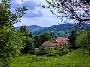 Príroda v okolí apartmánu
