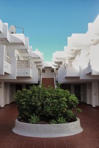 a courtyard of an apartment building with a bush at Geremy's boutique vivienda VV A-38-4-2068 in Arona