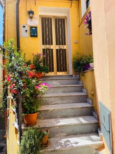 una rampa di scale che porta a una porta con fiori di B&B Via Roma a Viggianello