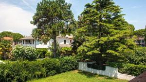 dos árboles en un patio con una casa en VILLA ROSA, en Duna Verde