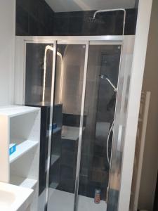 波尔多Appartement rénové 1 chambre centre historique的浴室里有玻璃门的淋浴间