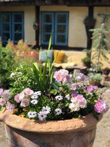 un grand pot de fleurs rempli de fleurs dans une cour dans l'établissement Vangeled Gaard B&B - Apartments, à Holtug