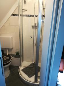a shower in a bathroom with a toilet at Zur Alten Filmkiste in Zingst