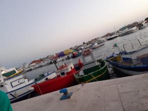 Táj Show holiday homes közelében