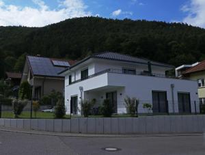 a white house with a mountain in the background at Fewo Haus Edith in Lug
