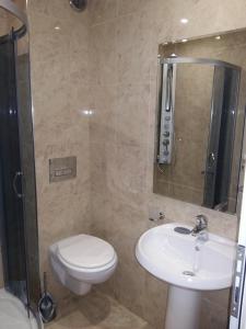 La salle de bains est pourvue de toilettes, d'un lavabo et d'une douche. dans l'établissement Guest House Harmony, à Veliko Tarnovo