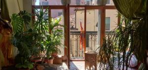 ein Raum voller Topfpflanzen in der Unterkunft Charming large palazzo in center Venice for up to 9 people in Venedig