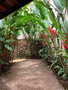 a garden with a hose connected to a bunch of plants at Ótima Casa em Guaramiranga in Guaramiranga