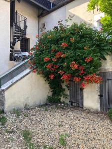 un arbusto con flores rojas al lado de una casa en Les chambres du Moulin, en Les Epsailles