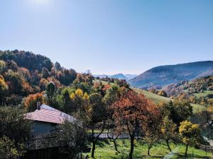 Príroda v okolí apartmánu