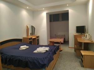 a room with a bed and a mirror and a television at Mini-hotel Chabany Lake - Мини-отель у Озера Чабаны in Chabany
