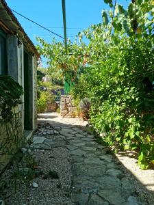 Imagen de la galería de Apartments Lošotovi Vrboska, en Vrboska