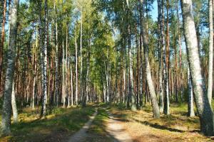 Príroda v okolí apartmánu