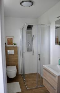 La salle de bains est pourvue d'une douche, de toilettes et d'un lavabo. dans l'établissement Green Spirit vor den Toren von Frankfurt - Darmstadt, à Dreieich
