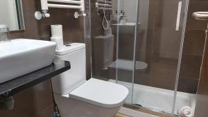 Un baño con inodoro y ducha de cristal. en Hostal Corazón de Madrid, en Madrid 37 fotos más