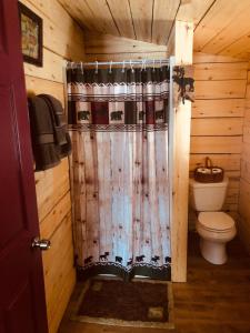 a bathroom with a toilet and a shower curtain at Wrangell Mountain Lodge- Private Bathroom with shower in McCarthy