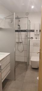 Bilik mandi di Appartement Schönblick STADTTEIL BAD MÜNSTER AM STEIN EBERNBURG