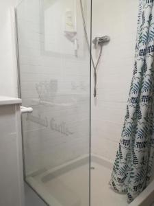 a shower with a glass door in a bathroom at Druid cottage in Glendree