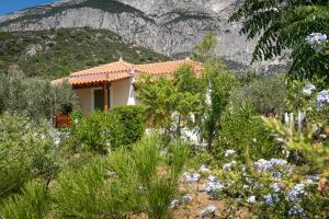 a house in a garden with a mountain in the background at Pleiades Samos in Marathokampos
