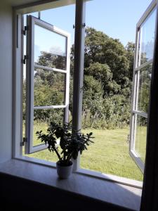 Zahrada ubytování Hostel Rudbøl
