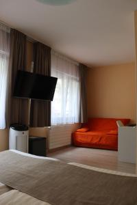 TV a/nebo společenská místnost v ubytování Hôtel Elite