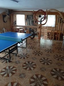 a ping pong table in the middle of a room at U Białasów in Małe Ciche