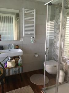 a bathroom with a shower and a toilet and a sink at Oasi di Laura a Balerna in Balerna