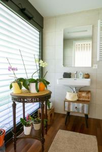 baño con lavabo y mesa con plantas en Oasi di Laura a Balerna, en Balerna