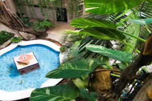 Bazén v ubytování Grand Hotel Colonial Cancun nebo v jeho okolí