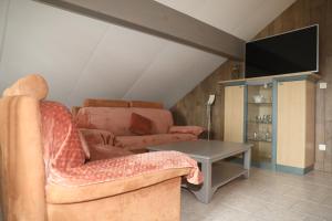 een woonkamer met een bank en een tv bij Gîtes La Cigale et Le Grillon in Bouillon