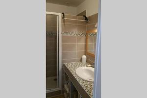 a bathroom with a sink and a shower at APPARTEMENT DE CHARME AU COEUR DE NEVERS in Nevers