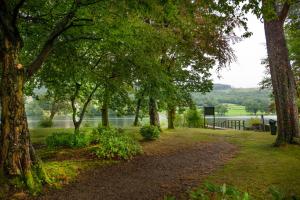 a path through a park with trees and a lake at The Coniston Inn - The Inn Collection Group in Coniston