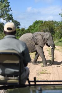 Fotografie z fotogalerie ubytování Shumbalala Game Lodge v destinaci Rezervace Thornybush